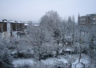 IMG 2191  The view from our back window after snow.