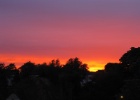 IMG 3656  Queen's Park, London  This is the sunset from our bedroom window.