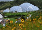 DSC 0146  The Eden Project, Cornwall